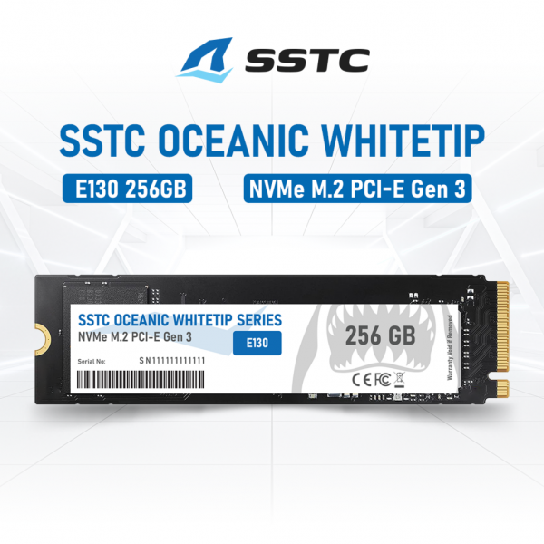 SSD SSTC Oceanic Whitetip E130 256GB M.2 2280 PCIe NVMe (Gen 3x4)